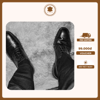 Derby Prestige Round